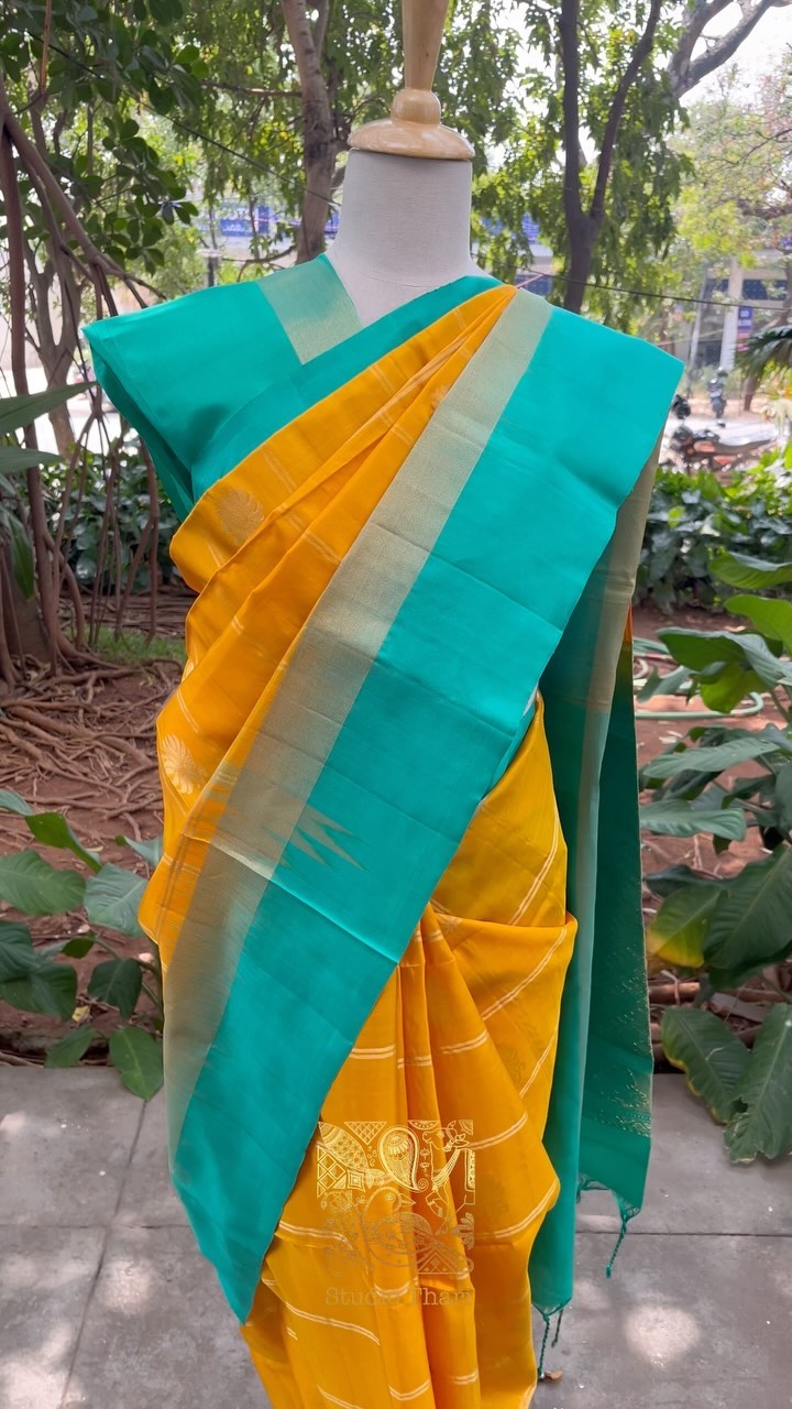 Soft silk saree (YELLOW WITH GREEN) - Studio Thari